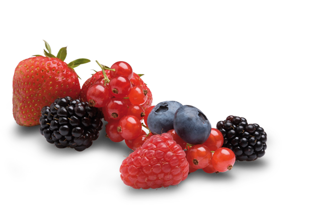 Berry nice to meet you